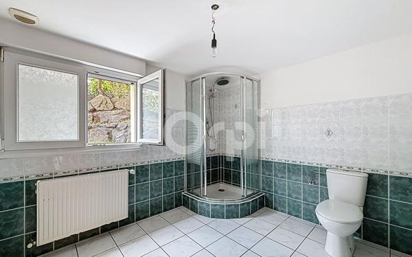 Maison à vendre    7 pièces •  Bantzenheim