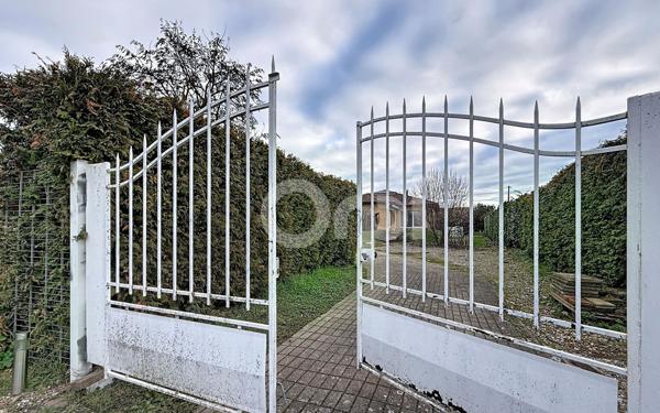 Maison à vendre    7 pièces •  Bantzenheim