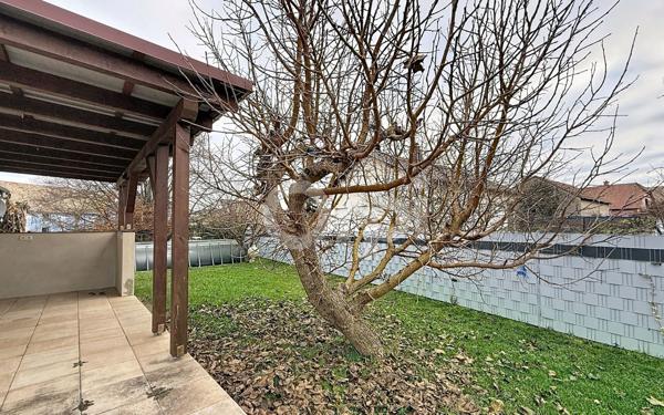 Maison à vendre    7 pièces •  Bantzenheim