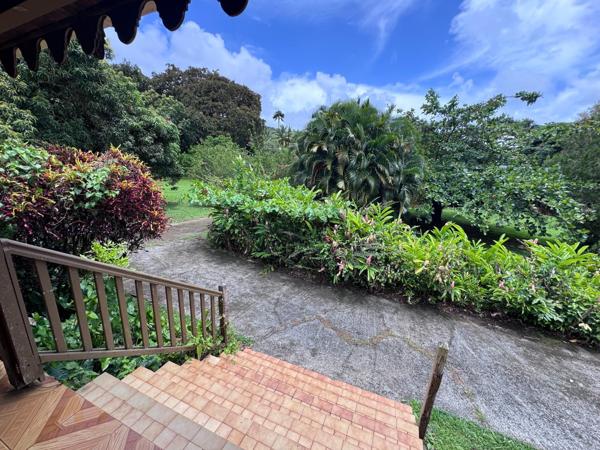 Maison T4 grand jardin plat de 8 311m2 avec sa grande terrasse couverte.