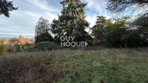 Terrain situé à Bois le Roi