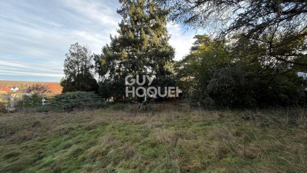 Terrain situé à Bois le Roi