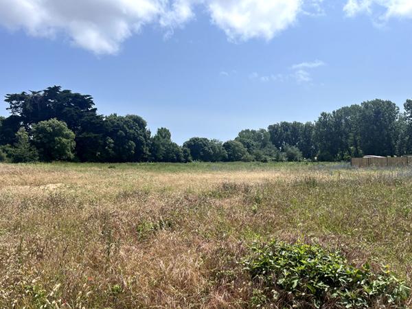 Terrain de 967 m² à Saint-Hilaire-de-Riez dans un Cadre Naturel et Paisible !