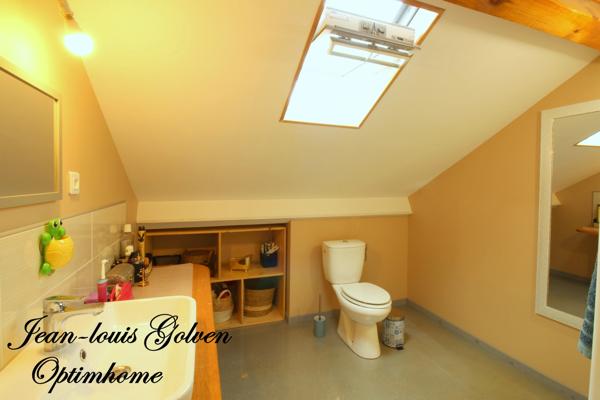 Maison à vendre 4 pièces SEVERAC LE CHATEAU (12)