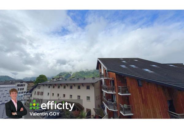 Appartement 1 pièce - 25 m² Exclusivité efficity