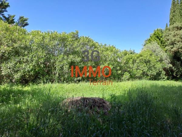 Vente / Terrain constructible