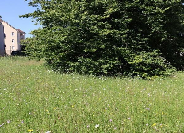 Terrain à vendre    Auxerre
