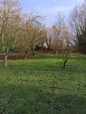 Maison à vendre à Bourbourg dans le Nord (59630), ref : MAIS00822