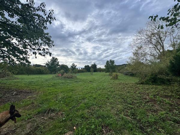 Maison 110 m² + 2,2 ha à Clairac