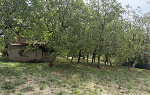 Vente Maison 90m² hab sur 11500m² de terrain Gresin