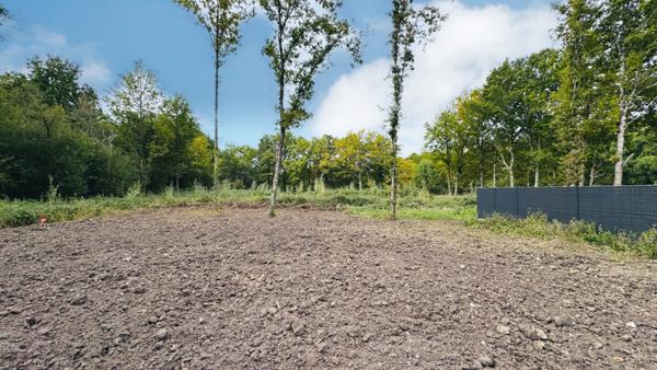 MAISON NEUVE A VENDRE PRUNIERS EN SOLOGNE