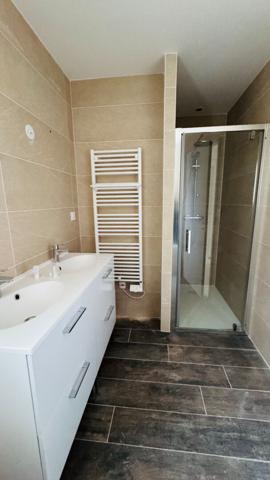 MAISON NEUVE A VENDRE PRUNIERS EN SOLOGNE