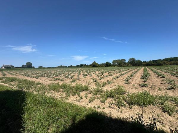 Corps de ferme en pierre à rénover , 1,5 ha de terrain , Pleumeur-Gautier proprietes-privees.com+3