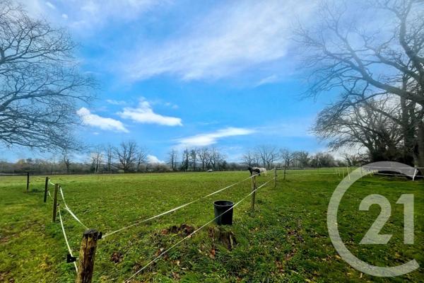 Maison à vendre  7 pièces - 188 m2 SURZUR - 56