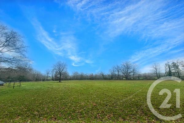 Maison à vendre  7 pièces - 188 m2 SURZUR - 56