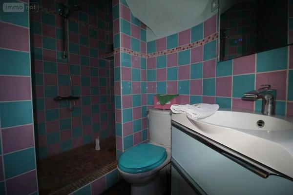 Achat - Maison Le Plessis-Trévise 94420 6 pièces 136 m 2 884 m 2