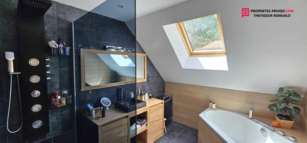 Maison Courtenay 8 pièce(s) 250 m2