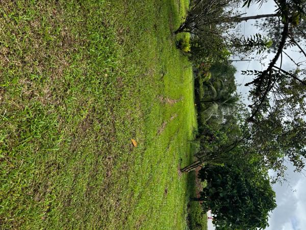 Terrain à MATOURY, 97351 - 1329m²