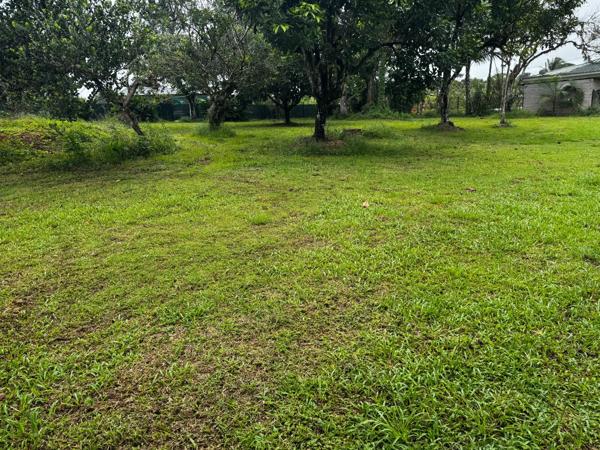 Terrain à MATOURY, 97351 - 1329m²
