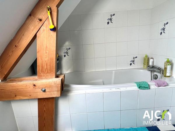 Savonnières (37510) Maison sur belle parcelle et vue dégagée