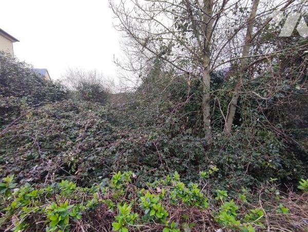 LA RIVIERE SAINT SAUVEUR - terrain à bâtir