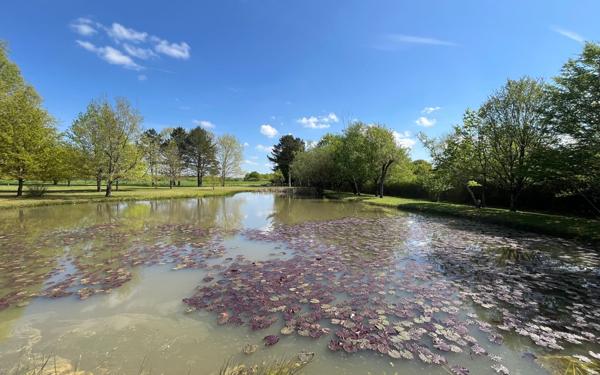 Maison à vendre    6 pièces •  Romorantin-Lanthenay