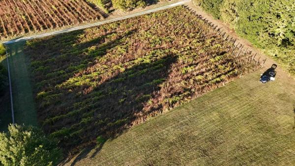 Terrain constructible à CAILLAC, 7000 m²