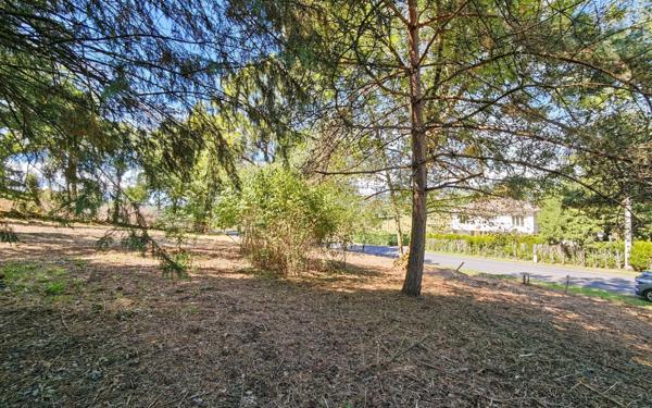 Terrain à vendre    Jussac