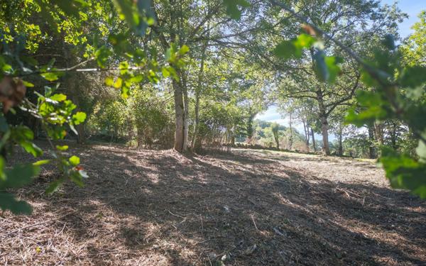 Terrain à vendre    Jussac