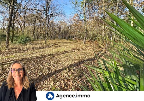 À vendre - Maison ancienne, 4 pièces située à Étauliers (33820)