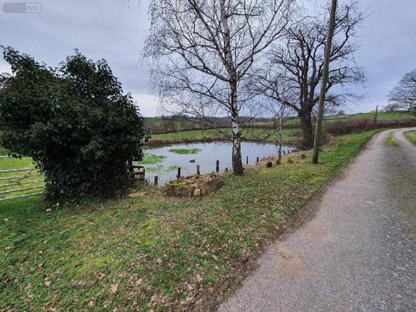 Maison à vendre à Marcigny en Saône-et-Loire (71110), ref : 20316