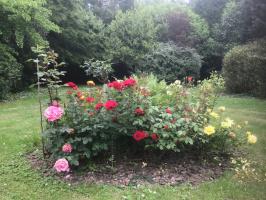 TRES BEL APPARTE DE STANDING SITUE AU RDC AVEC VUE MAGNIFIQUE SUR UN PARC PAYSAGE AU CALME PROCHE GARE Beauvais (60000)