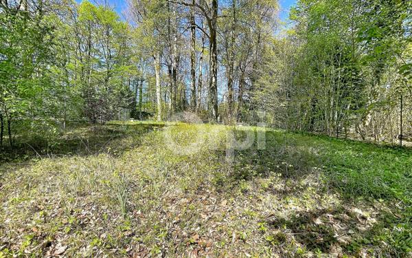 Appartement à vendre    4 pièces • 97 m2 Vineuil-Saint-Firmin