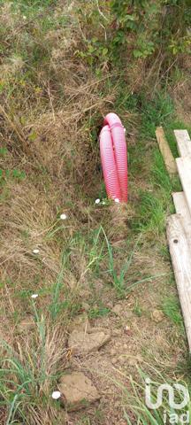 Terrain à vendre 1 369 m² Saint-Germain-les-Belles