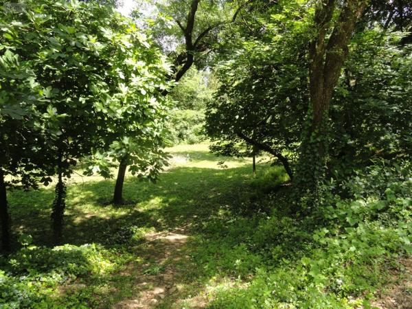 Achat - Propriété | Propriété Bouillargues 30230 10 pièces 232 m 2 7136 m 2