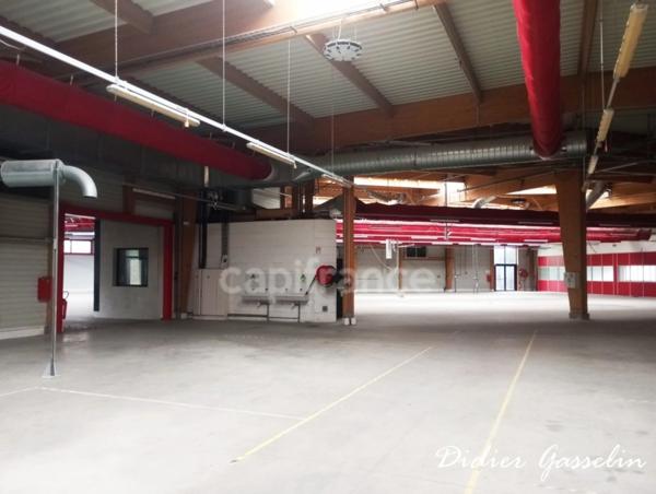 Local Industriel / Bureau à vendre BERD HUIS (61)