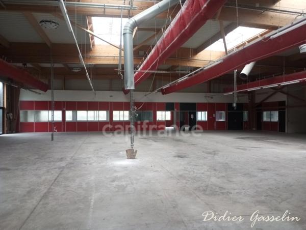 Local Industriel / Bureau à vendre BERD HUIS (61)