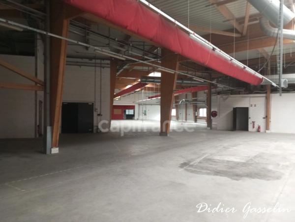 Local Industriel / Bureau à vendre BERD HUIS (61)