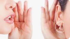 Maison à vendre  5 pièces - 160 m2 QUIMPER - 29