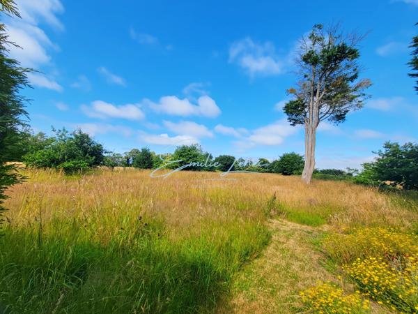 Trégunc – Maison 146 m² avec T2 indépendant, sous-sol complet et 5 580 m² de terrain au calme