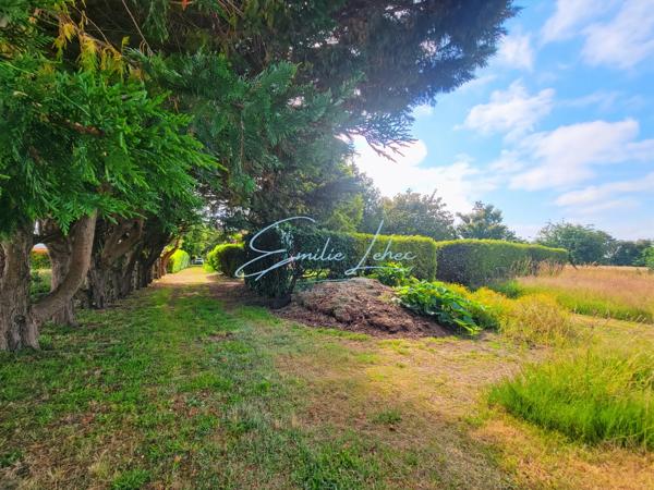 Trégunc – Maison 146 m² avec T2 indépendant, sous-sol complet et 5 580 m² de terrain au calme