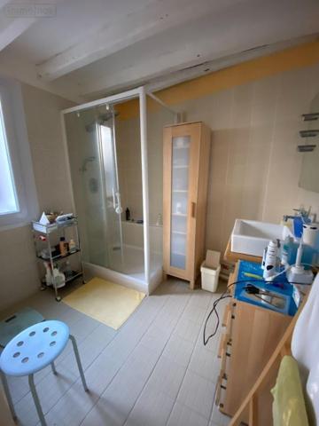 Maison à vendre à Palluau-sur-Indre dans l'Indre (36500), ref : 1051588