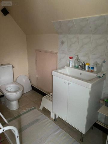 Maison à vendre à Palluau-sur-Indre dans l'Indre (36500), ref : 1051588