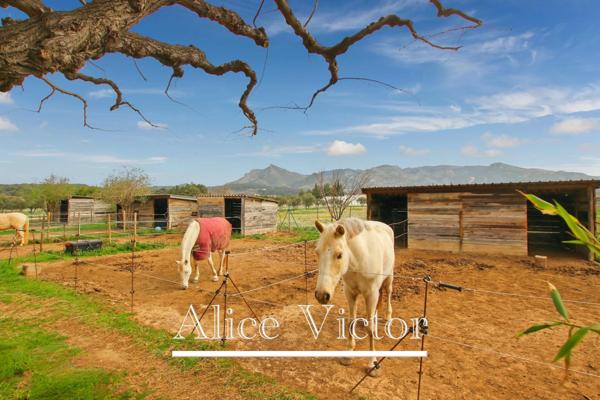 Maison à vendre 10 pièces AUBAGNE (13)