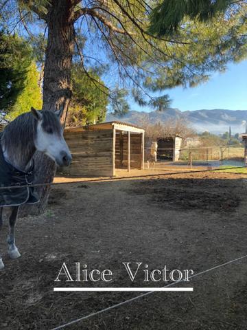 Maison à vendre 10 pièces AUBAGNE (13)