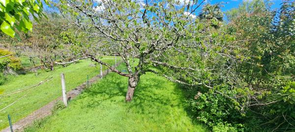 Oloron-Sainte-Marie (64400) APPARTEMENT 120M² QUARTIER HISTORIQUE SAINTE CROIX - GARAGE - JARDIN - TERRASSE