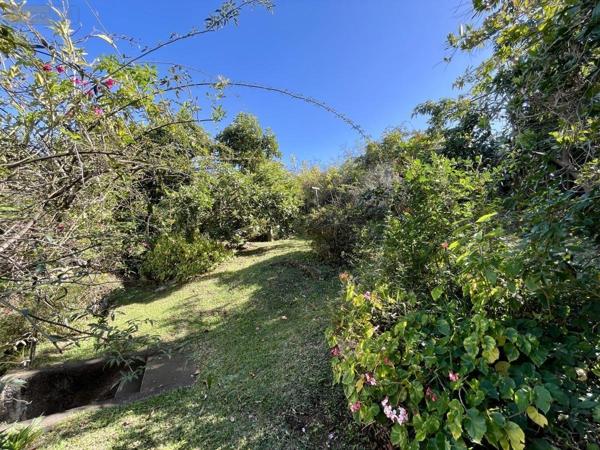 Maison à vendre à Le Tampon à la Réunion (97430), ref : 97409-257