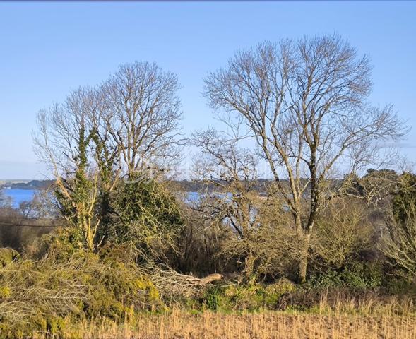 Appartement de 40 m²