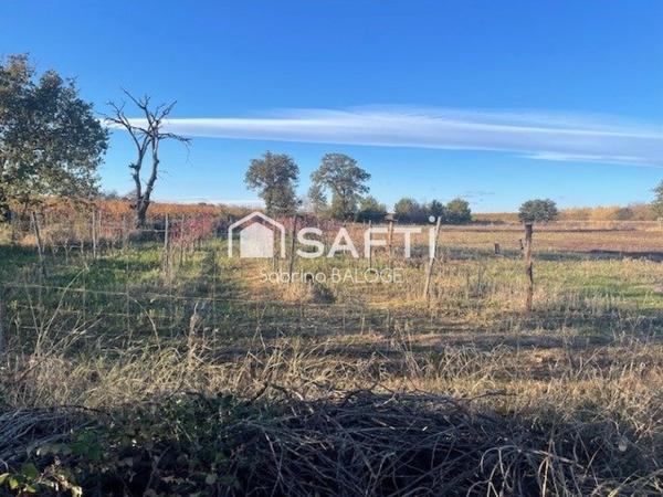 Terrain Agricole plat