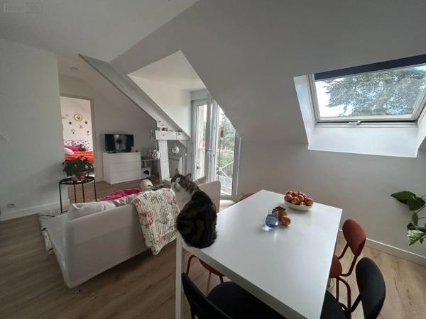 Achat - Appartement Chalonnes-sur-Loire 49290 2 pièces 34 m 2